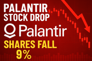 Palantir Stock Drop